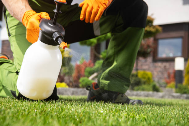 Best Exterminator Services  in South Russell, OH