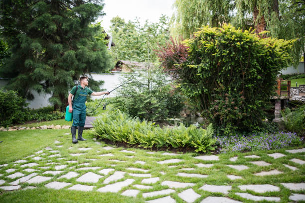 Best Local Pest Control Services  in South Russell, OH