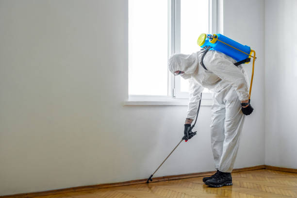 Best Cockroach Control Services  in South Russell, OH
