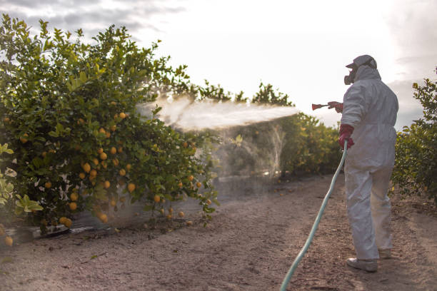 Best Pest Prevention Services  in South Russell, OH