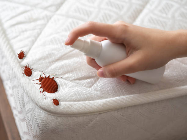 Best Cockroach Control Services  in South Russell, OH