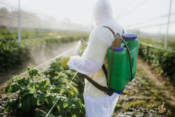 Best Termite Control Services  in South Russell, OH